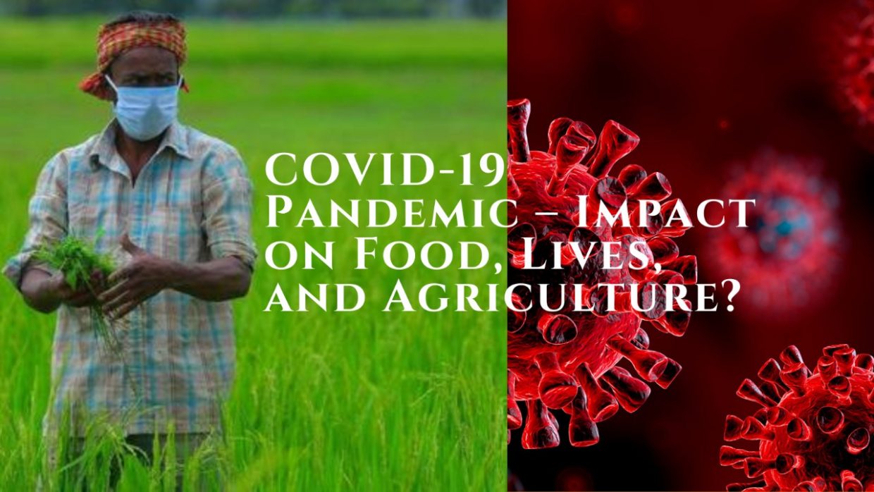 covid-19 pandemic – impact on food, lives, and agriculture?