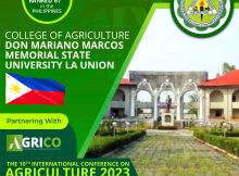 Don Mariano Marcos Memorial State University